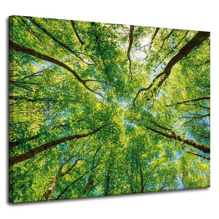 Canvas Print Trees Leaves Nature Forest Spring 100x80 cm