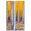 Canvas Print Birch Trees Autumn Yellow Leaves 60x100 cm