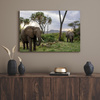 Canvas Print Animals Elephants 40x30 cm