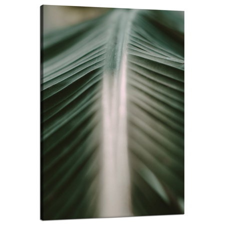 Canvas Print Nature Palm Leaf 80x120
