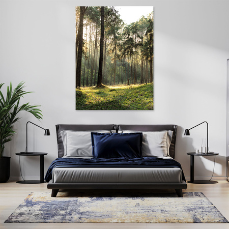 Canvas Print Forest Trees Sun Nature 60x120 cm