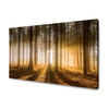 Canvas Print Sun in the Forest Light Tree 120x80 cm