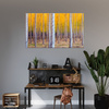 Canvas Print Birch Trees Autumn Yellow Leaves 70x50 cm