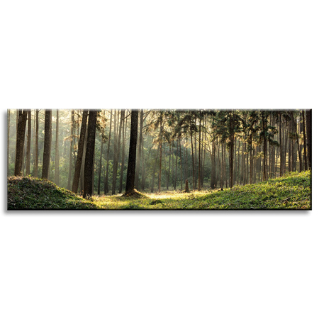 Canvas Print Forest Trees Sun Nature 120x40 cm