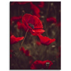 Canvas Print Botanical Red Poppies 30x40 cm