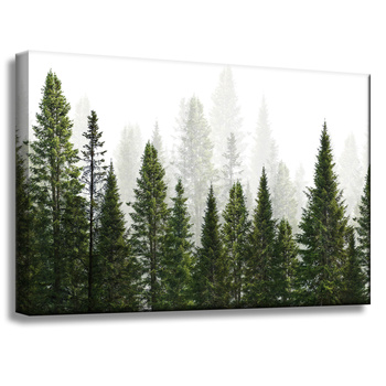 Canvas Print Rain Forest Nature Trees 60x40 cm