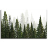 Canvas Print Rain Forest Nature Trees 80x50 cm