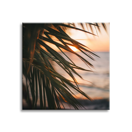 Canvas Print Nature Beach Palm Tree Sea Sunset 90x90