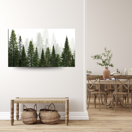 Canvas Print Rain Forest Nature Trees 60x40 cm