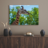 Canvas Print Animals Giraffe 40x30 cm