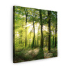 Canvas Print Sun Forest Trees Rays of Light 60X60 cm