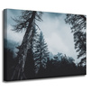 Canvas Print Nature Treetops 40x30 cm
