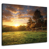 Canvas Print Sun Landscape Rural Trees Meadow 100x80 cm