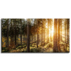Canvas Print Birch Trees Sun Morning 120x60 cm