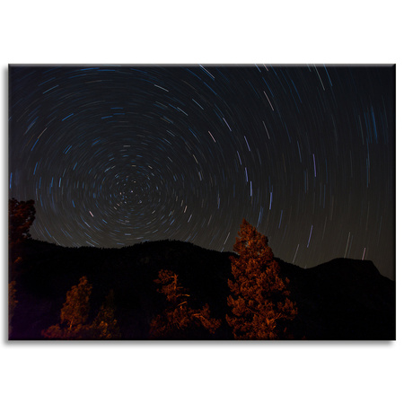 Canvas Print Nature Forest Night Mountains Abstract Trees 70x50