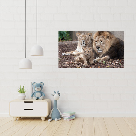 Canvas Print Lion Family Photo Nature 100x80 cm