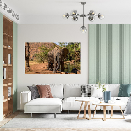 Canvas Print Elephant Africa Water Mud Sun 100x80 cm