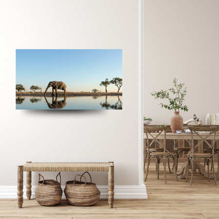 Canvas Print Elephant Drinking Water in Natural Habitat 100x80 cm