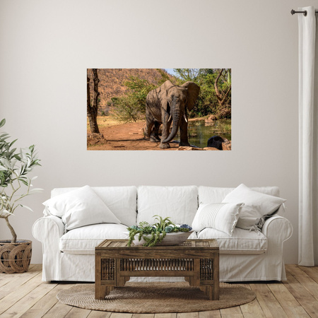 Canvas Print Elephant Africa Water Mud Sun 100x80 cm