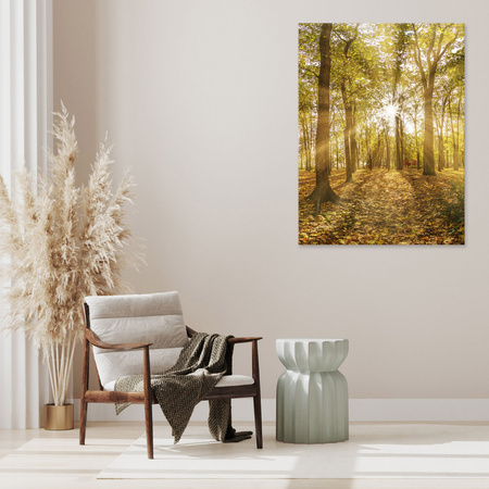 Canvas Print Sun Between Trees in the Forest 40x120 cm