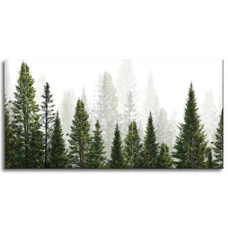 Canvas Print Rain Forest Nature Trees 120x60 cm