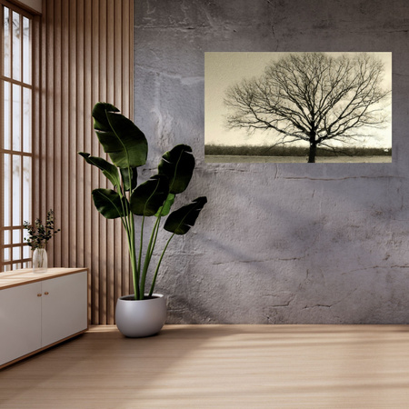 Canvas Print Gloomy Black Tree Sadness 100x80 cm