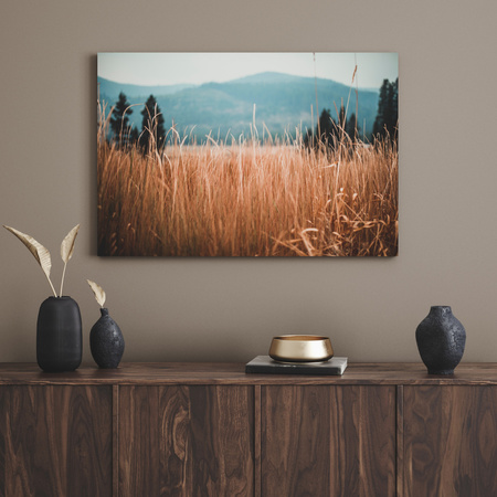 Canvas Print Nature Blades of Grass 40x30 cm
