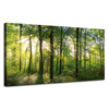 Canvas Print Sun Forest Trees Rays of Light 120x60 cm