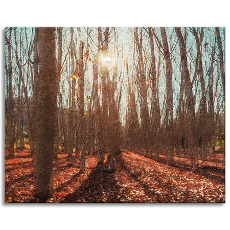 Canvas Print Autumn Forest Leaves Colorful Nature 100x80 cm