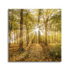 Canvas Print Sun Between Trees in the Forest 60X60 cm