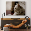 Canvas Print Animals White Cat 40x30 cm