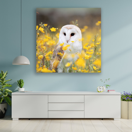 Canvas Print White Owl Flowers Nature Meadow 90x90