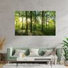 Canvas Print Sun Forest Trees Rays of Light 100x80 cm