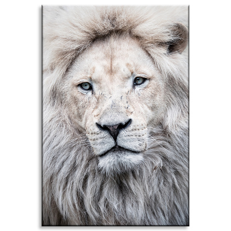 Canvas Print Bright Lion Face White Hair 80x120 cm