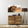Canvas Print Lion Face in Sunlight 100x80 cm