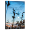 Canvas Print Nature Glade Meadow Sunrise 80x120