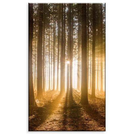 Canvas Print Sun in the Forest Light Tree 60x100 cm