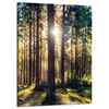 Canvas Print Forest Sun Trees Spring Morning 50x70 cm