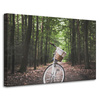 Canvas Print Youth Bike in the Forest 90x60