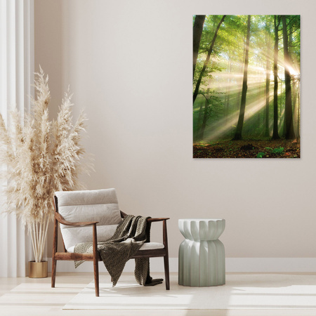 Canvas Print Sun in the Forest Trees Nature 80x120 cm