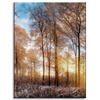 Canvas Print Trees Winter Rising Sun 30x40 cm