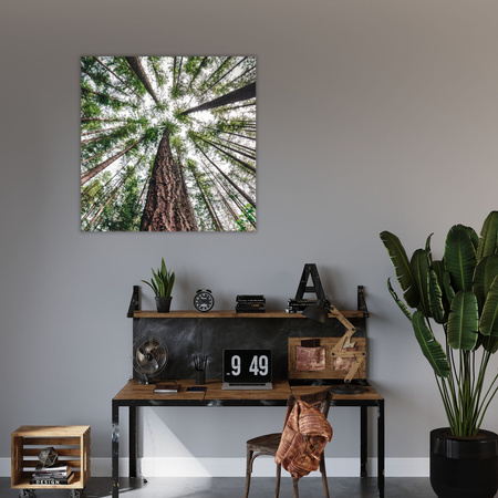 Canvas Print Trees Sky Nature Nature Art 90X90 cm