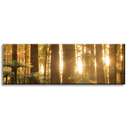 Canvas Print Sun Rays Forest Trees 120x40 cm