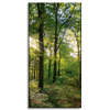 Canvas Print Sun Forest Trees Rays of Light 60x120 cm