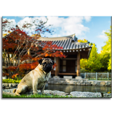 Canvas Print Animals Dog_2 40x30 cm