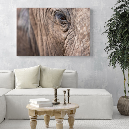 Canvas Print Animals Elephant Eye 40x30 cm