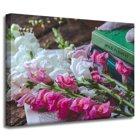 Canvas Print Botany Snapdragons 40x30 cm