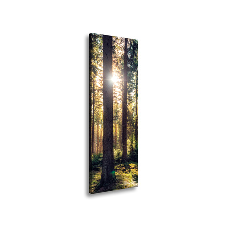 Canvas Print Forest Sun Trees Spring Morning 40x120 cm