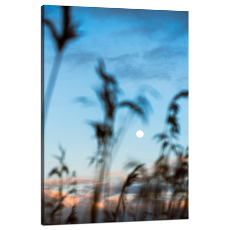 Canvas Print Nature Glade Meadow Sunrise 80x120