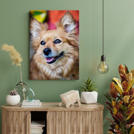 Canvas Print Animals Dog 30x40 cm